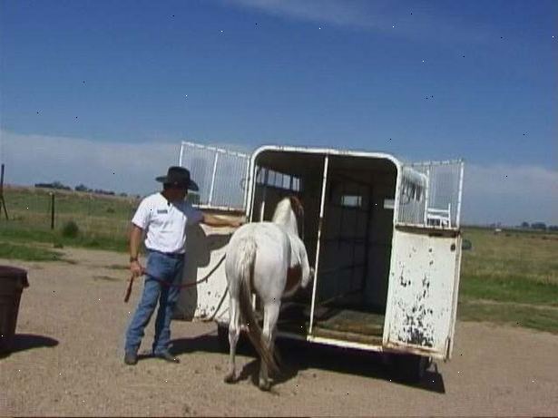 Sådan trailer en hest sikkert. Udfør altid trailer sikkerhedskontrol forud for lastning af hest i traileren.
