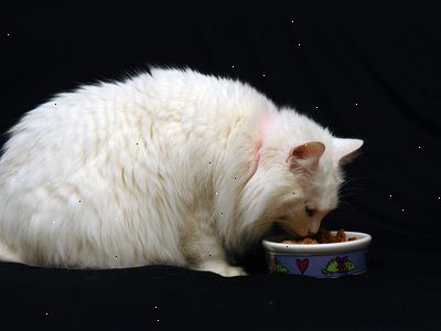 Hvordan laver økologiske kattefoder