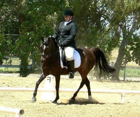 Træne hesten i den klassiske dressur formularen er nøglen. Meget specifikke kjole og tack er slidt til dressur konkurrence.