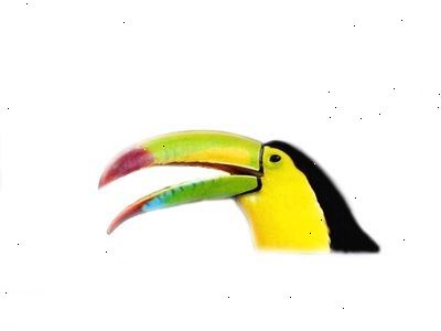 Sådan ser op fugl band numre for papegøjer. Besøg en aviculture organisation.