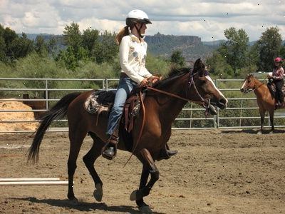 Undervisning en hest for bly kan enten være let eller svært. Trin 4 sker efter føl fører uden problemer bag moderen.